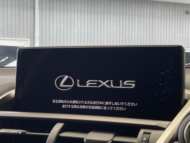 TOYOTA LEXUS NX300h 2021