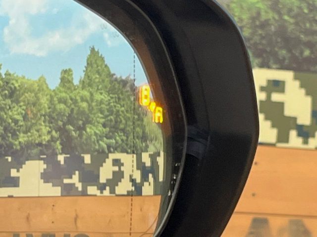 TOYOTA LEXUS NX300h 2021