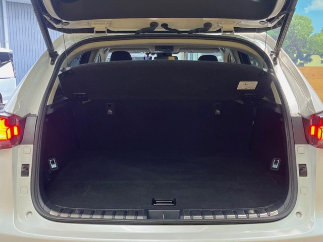 TOYOTA LEXUS NX300h 2021