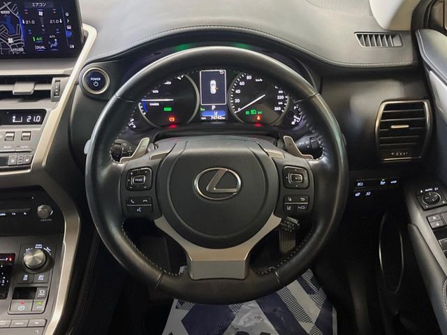 TOYOTA LEXUS NX300h 2021