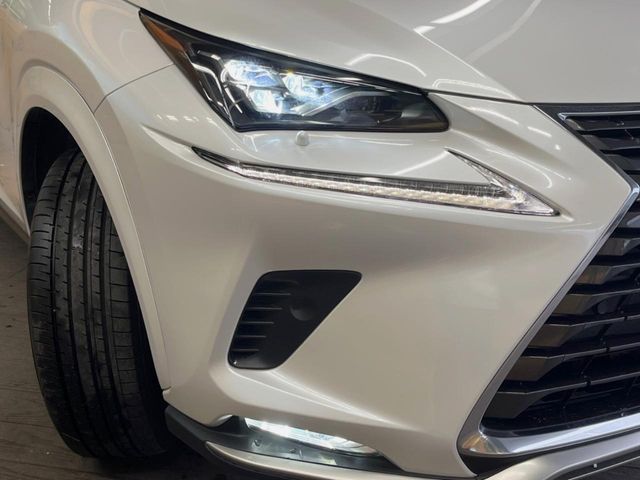 TOYOTA LEXUS NX300h 2021