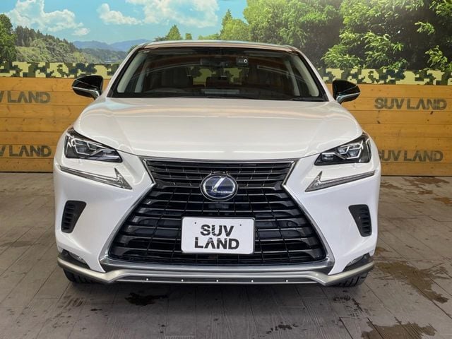 TOYOTA LEXUS NX300h 2021