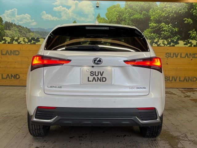 TOYOTA LEXUS NX300h 2021