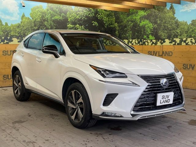 TOYOTA LEXUS NX300h 2021