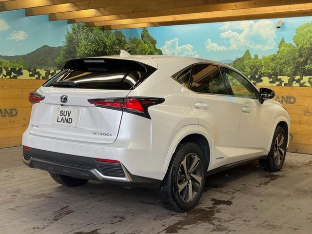 TOYOTA LEXUS NX300h 2021