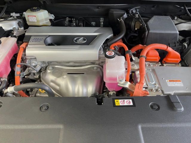 TOYOTA LEXUS NX300h 2021