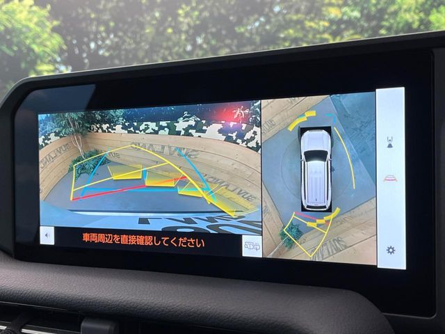 TOYOTA LANDCRUISER 250 2024