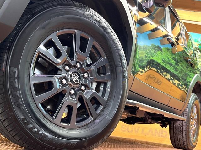 TOYOTA LANDCRUISER 250 2025