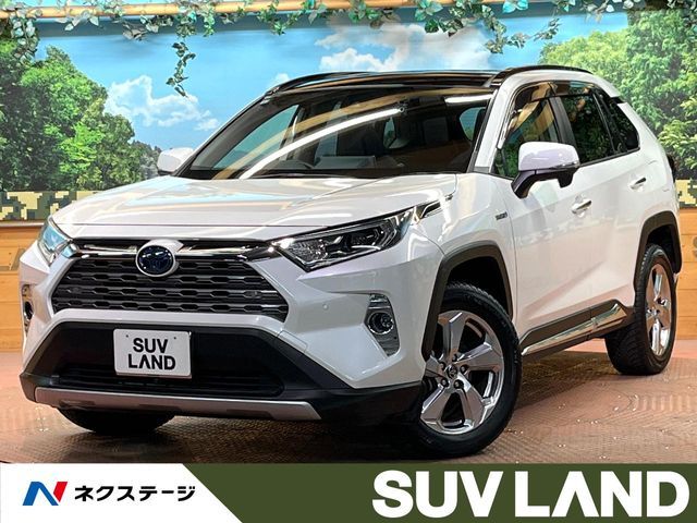TOYOTA RAV4 HYBRID 4WD 2019