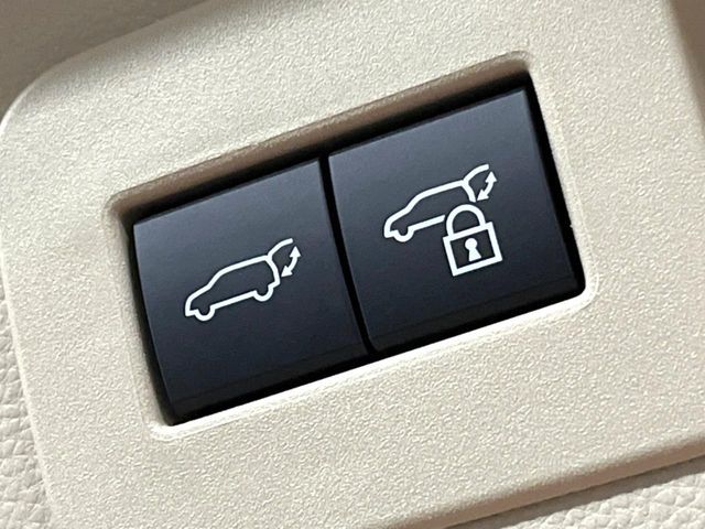 TOYOTA LANDCRUISER wagon 2025