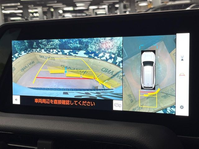 TOYOTA LANDCRUISER 250 2024