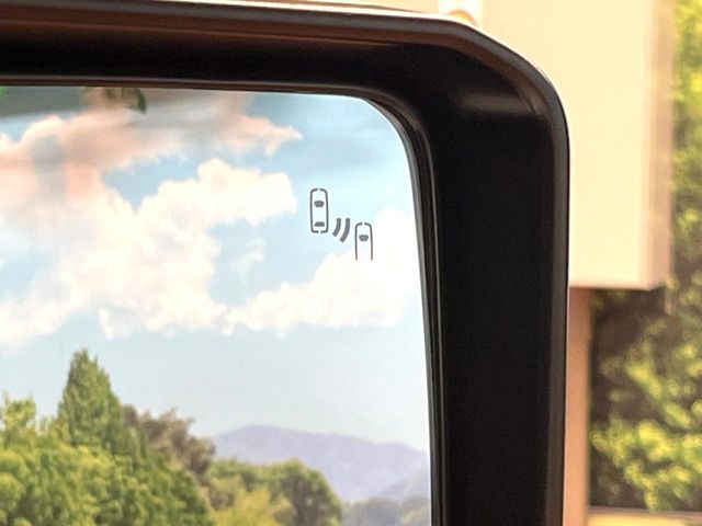 TOYOTA LANDCRUISER 250 2024