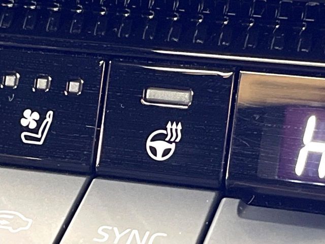 TOYOTA LANDCRUISER 250 2024