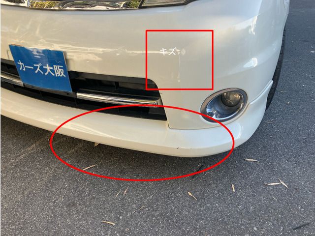 NISSAN SERENA  WG 2010