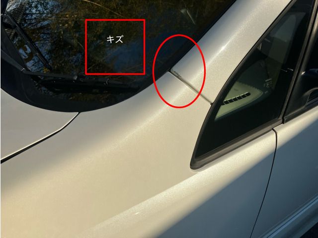 NISSAN SERENA  WG 2010