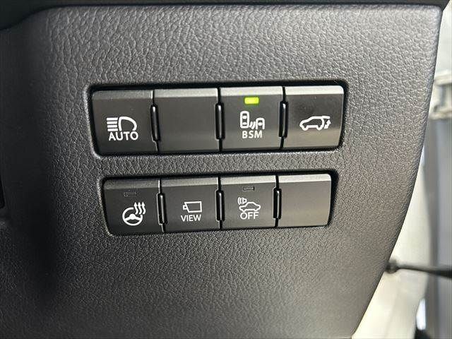 TOYOTA LEXUS NX300h AWD 2019