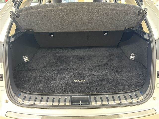 TOYOTA LEXUS NX300h AWD 2019