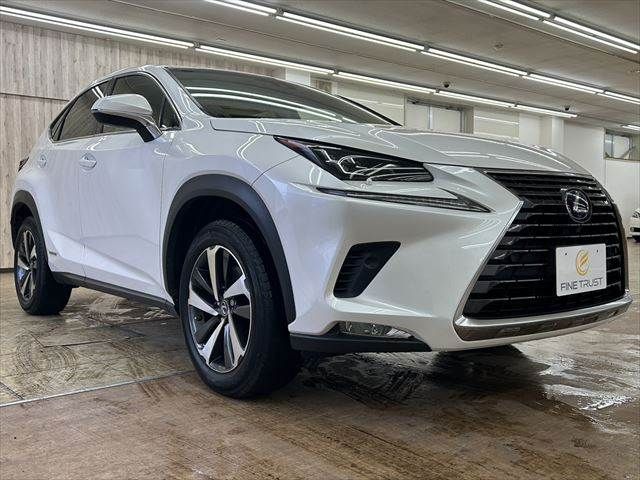 TOYOTA LEXUS NX300h AWD 2019