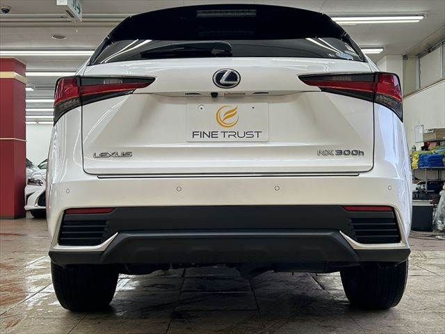 TOYOTA LEXUS NX300h AWD 2019