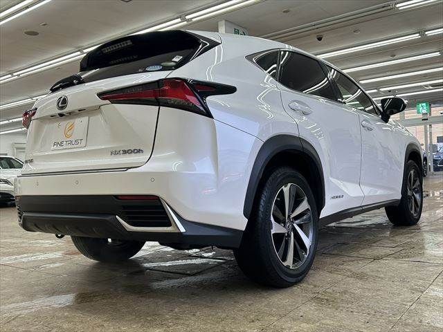 TOYOTA LEXUS NX300h AWD 2019