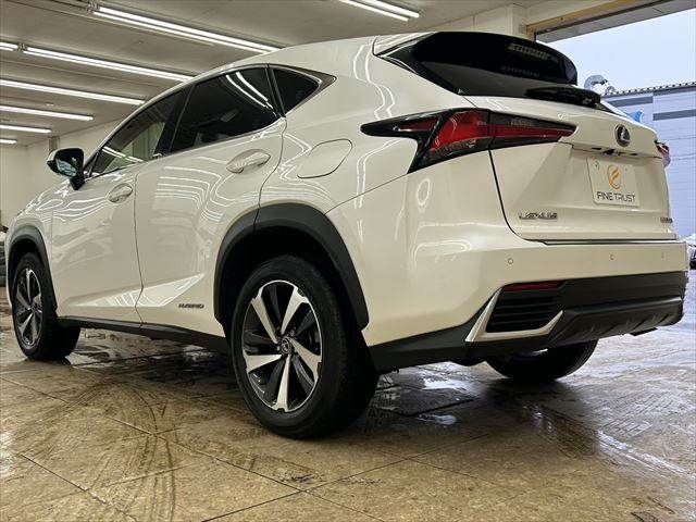 TOYOTA LEXUS NX300h AWD 2019
