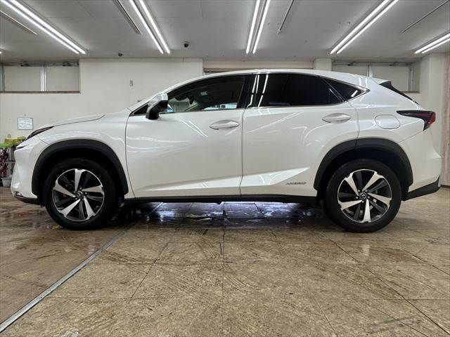 TOYOTA LEXUS NX300h AWD 2019