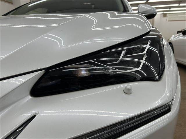 TOYOTA LEXUS NX300h AWD 2019