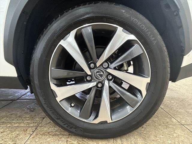 TOYOTA LEXUS NX300h AWD 2019