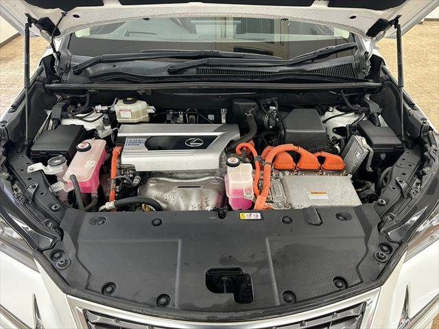 TOYOTA LEXUS NX300h AWD 2019