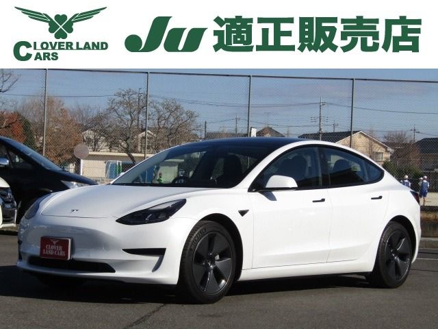 TESLA TESLA MODEL 3 2021