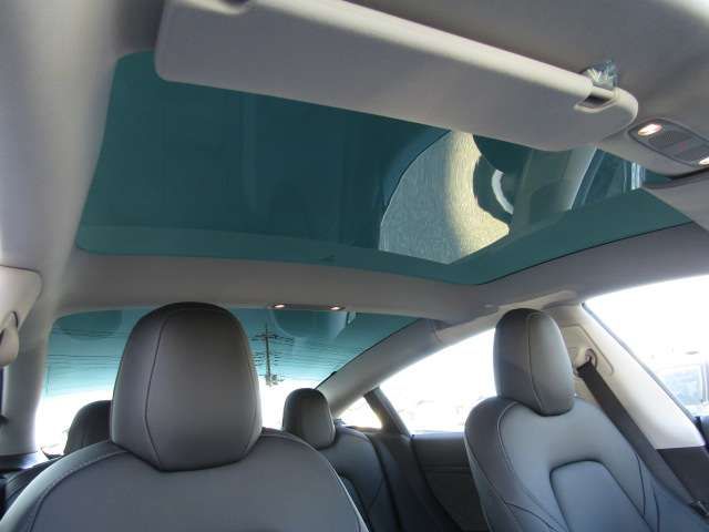 TESLA TESLA MODEL 3 2021