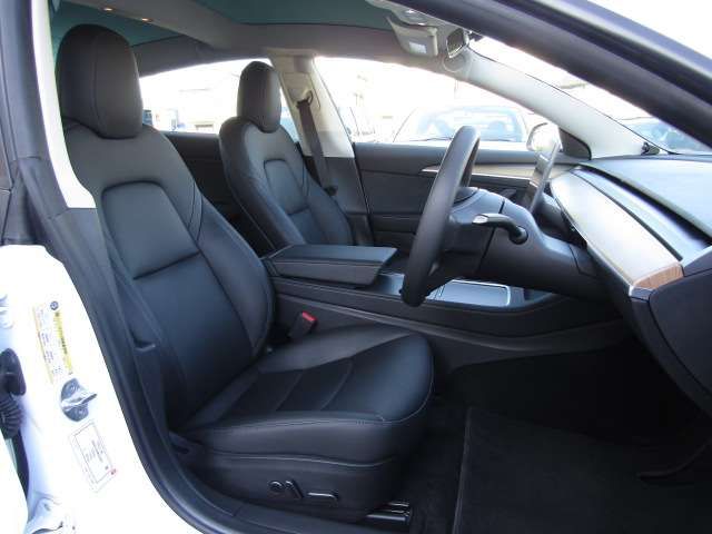 TESLA TESLA MODEL 3 2021