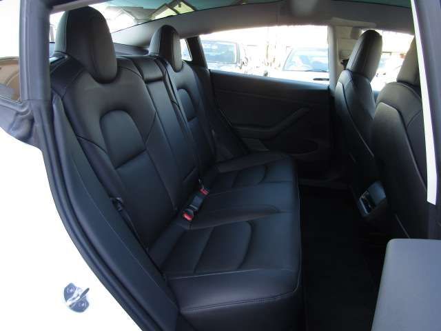 TESLA TESLA MODEL 3 2021