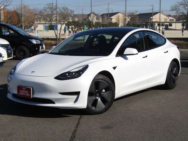 TESLA TESLA MODEL 3 2021