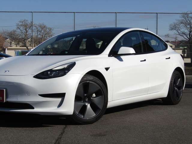 TESLA TESLA MODEL 3 2021