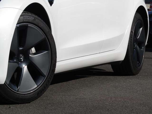 TESLA TESLA MODEL 3 2021