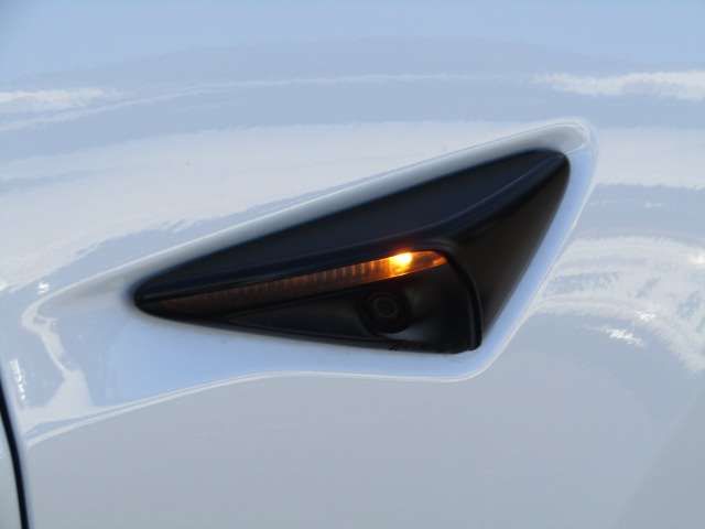 TESLA TESLA MODEL 3 2021