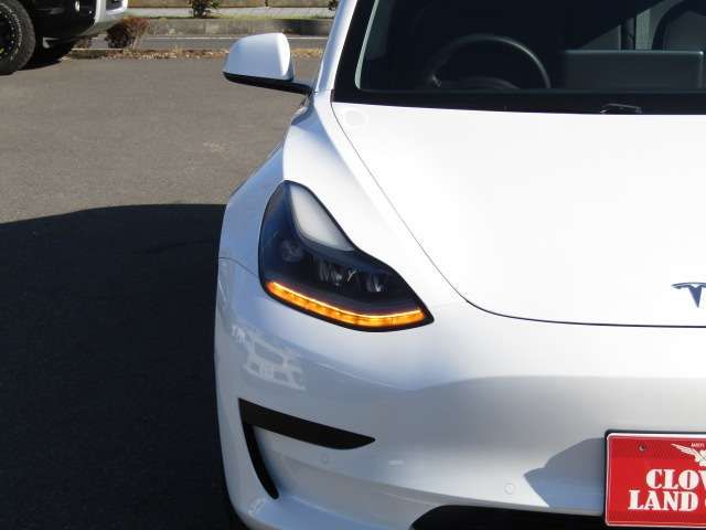 TESLA TESLA MODEL 3 2021