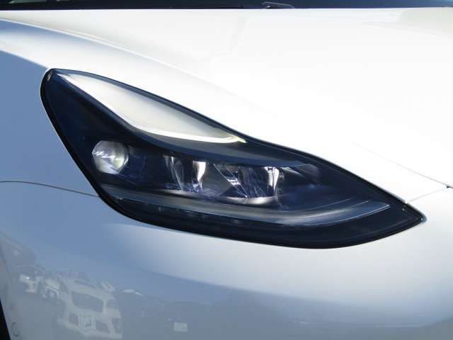 TESLA TESLA MODEL 3 2021