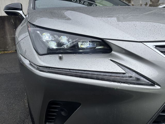 TOYOTA LEXUS NX300h AWD 2020