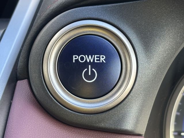 TOYOTA LEXUS NX300h AWD 2020