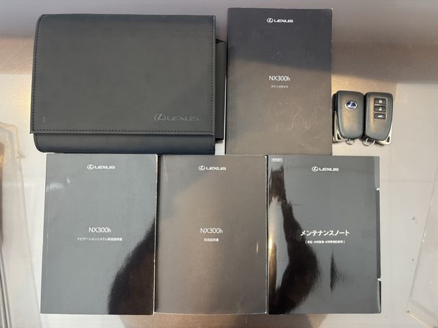 TOYOTA LEXUS NX300h AWD 2020