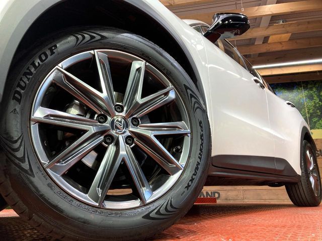 TOYOTA LEXUS LBX 2024