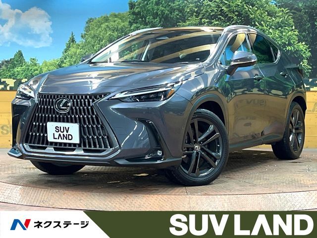TOYOTA LEXUS NX350h 2022