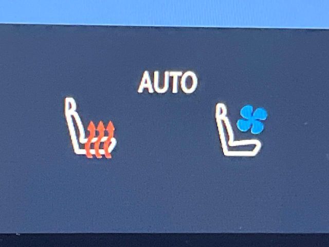 TOYOTA LEXUS NX350h 2022