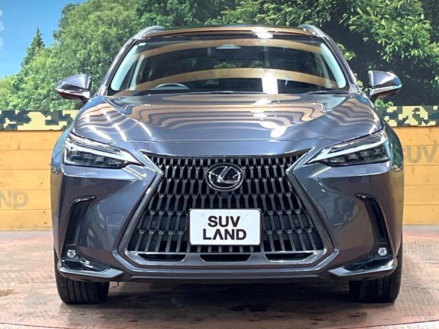 TOYOTA LEXUS NX350h 2022