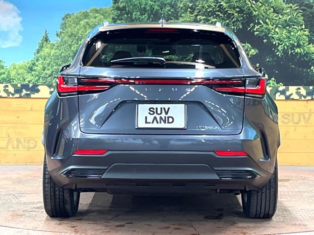 TOYOTA LEXUS NX350h 2022