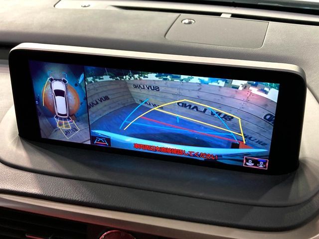 TOYOTA LEXUS RX450h AWD 2019