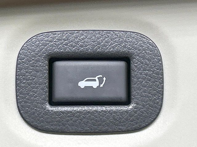 NISSAN X-TRAIL HYBRID 4WD 2019