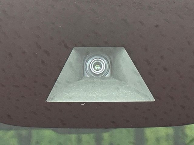 NISSAN DAYZ ROOX 2019